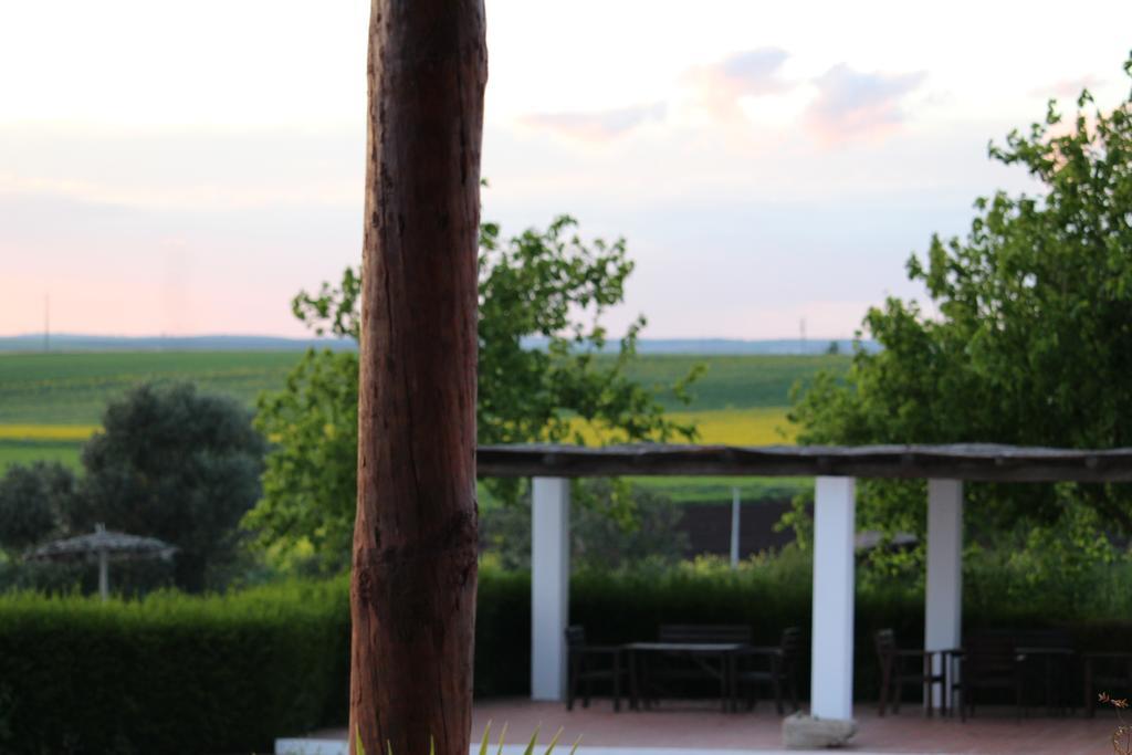 Monte Da Morena Agro-Turismo Serpa Kültér fotó